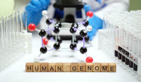 Exploring the intricate Human Genome and its Molecular Insights significantly impacts Scienceの写真素材