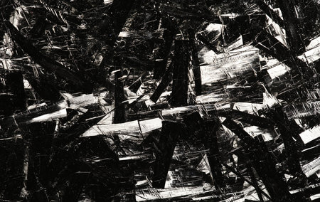 Intricate patterns of black and white create a mesmerizing dance of texture and light in a striking abstract compositionの写真素材