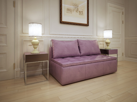 Idea of modern hall. Soft pink sofa with pillows in the corridor. The white molding walls with light wood flooring. 3D renderの写真素材