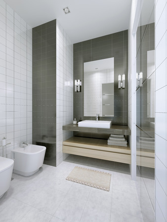 White bathroom in hotel apartments. Marble tile flooring, double colored tiled walls. 3D renderの写真素材