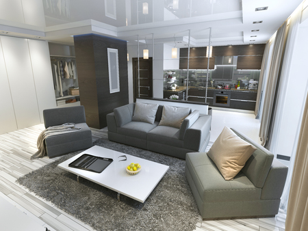 Luxury living room studio in a modern style with comfortable armchairs and a sofa in olive green. Studio apartment with kitchen and living room and a hallway with cloakroom. 3D render.の写真素材