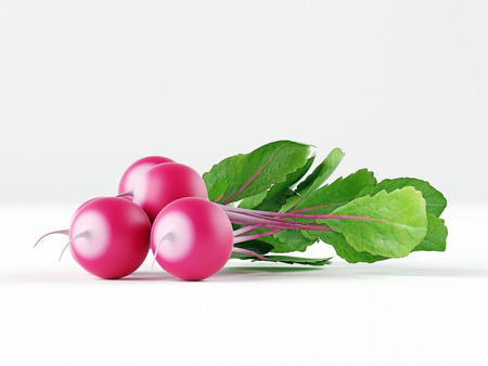 A bunch of fresh radishes with leaves isolated on white background. 3d render.の写真素材