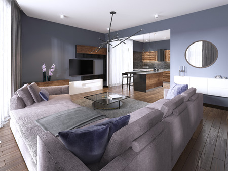 studio apartment living room with fabric sofa and TV storage and kitchen with console on the wall. 3d renderingの写真素材