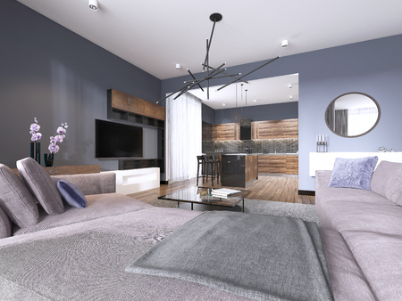 studio apartment living room with fabric sofa and TV storage and kitchen with console on the wall. 3d renderingの写真素材