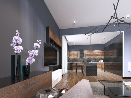 studio apartment living room with fabric sofa and TV storage and kitchen with console on the wall. 3d renderingの写真素材