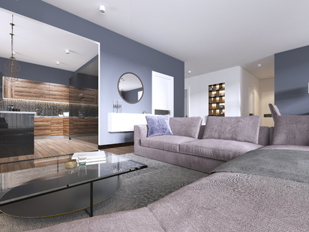 studio apartment living room with fabric sofa and TV storage and kitchen with console on the wall. 3d renderingの写真素材