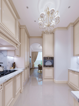 Small kitchen in a classic style. 3d rendering.の写真素材