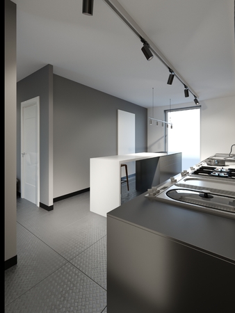Modern corridor with access to the kitchen. 3d renderingの写真素材
