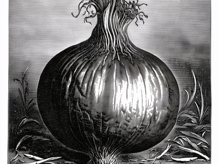 A black and white drawing of a onion a mid-nineteenth century engraving. AI generated, AI generative, AI generativ.の素材