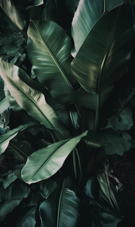 Close-up of thickets in the jungle with large green banana leaves. AI generated, AI generative, AI generativ.の素材