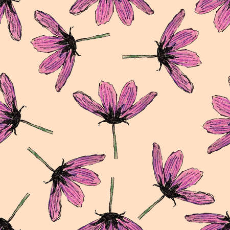 Seamless pattern with cosmea flowers. Hand drawn with colored pencils. Botany sketch. Pink and purple. Black line. Spring and summer. For postcards, wallpaper, scrapbooking, textile and wrapping paperの写真素材