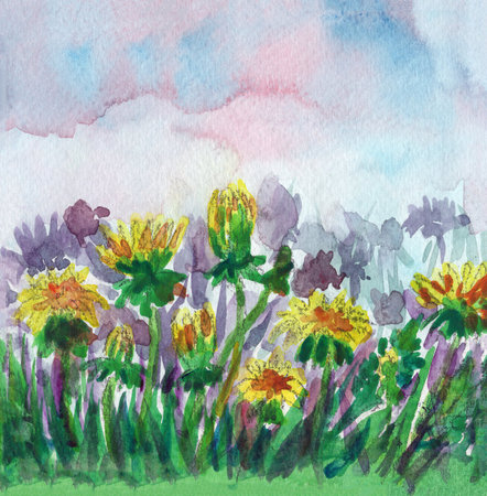 Panorama landscape of yellow dandelions and green grass. Blue and red sun set sky. Summer or spring. Hand drawn watercolor botanic sketch. Nature and ecology. Template for post card, poster, printの写真素材