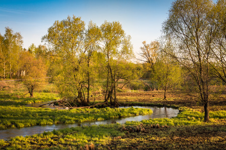 Beautiful russian landscape. The picture was taken in the spring, in the evening light, near the large suburb of Moscow - Mytischi.の写真素材