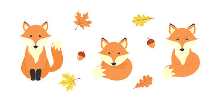 Cute cartoon foxes, acorns, maple and oak leaves, isolated on a white background. Vector set with...