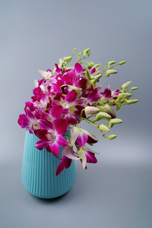 Cattleya in vaseの写真素材