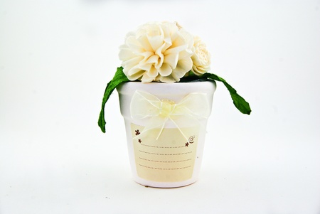 Flowerpotの写真素材