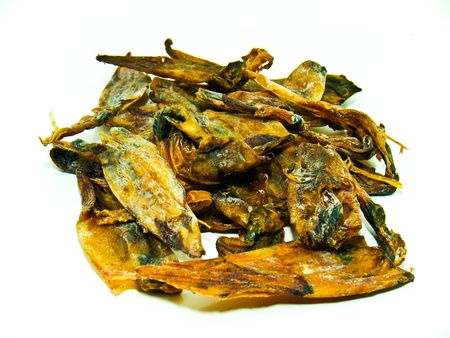 Dried squid isolated on white の写真素材