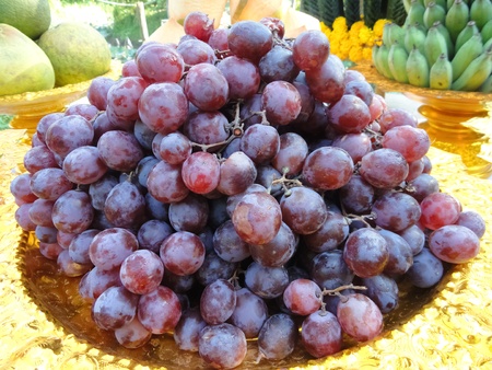 Dark grapes on a plateの写真素材