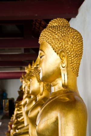 Row of Golden Buddha statue in Thailand Buddha Temple , Asia の写真素材
