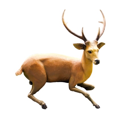 Statue of Deer on whitegroundの写真素材