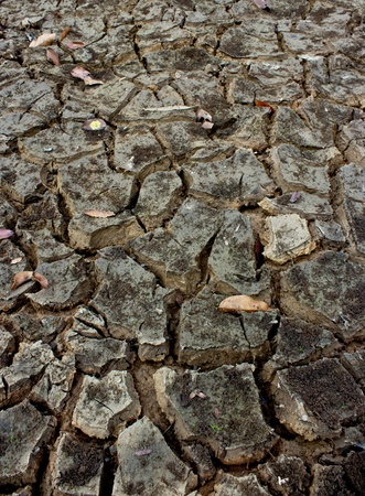 Dry soil and climate の写真素材
