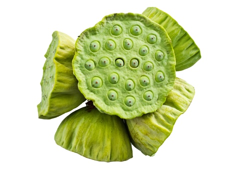 Lotus seed pot  lian zi  - The lotus seeds are used extensively in traditional Chinese medicine and dessertsの写真素材