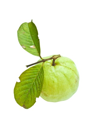 Guava with leafの写真素材