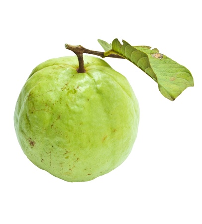 Guava with leafの写真素材