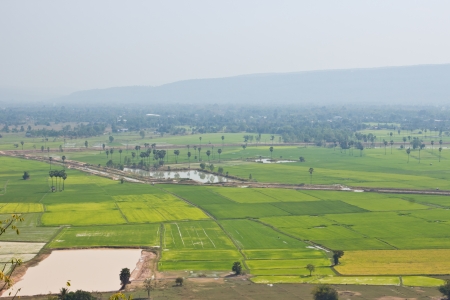 Top View of Rice Field surrounded by mountains and fog in the morning.の写真素材