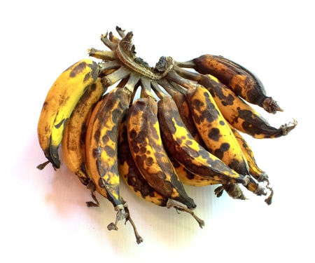 Overripe bananas in front of a white backgroundの写真素材