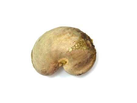 a Cashew fruits on a white background .の写真素材