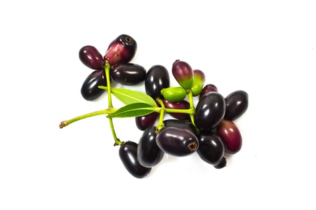 cluster of Purple fruit isolated on white backgroundの写真素材