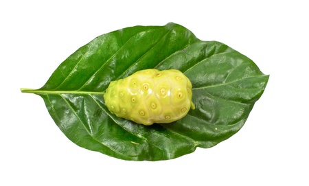 close up of fresh noni on green leaf on white background.の写真素材