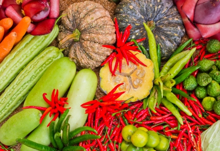 Mix vegetables.(Pepper, carrot, lemon, bergamot, bitter gourd, pumpkin)の写真素材
