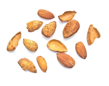 Seeds and almonds on a white background.の写真素材