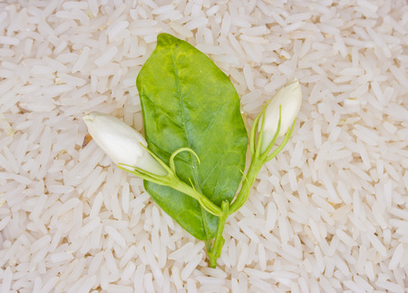 Jasmine Rice rice grian and jasmine flower on wood の写真素材