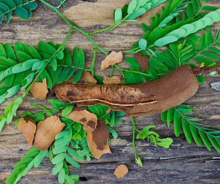 Tamarind with leaf on wood background