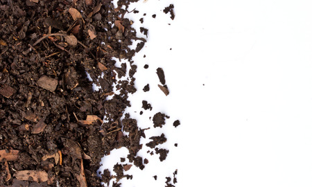 Soil on white backgroundの写真素材