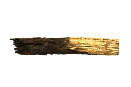 Charred smoking logs and pieces of woodの写真素材