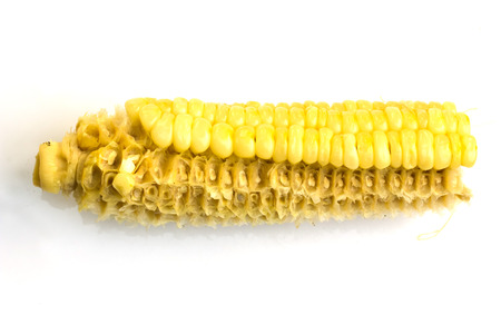 Boiled sweet corns, I ate half the boiled corn.の写真素材