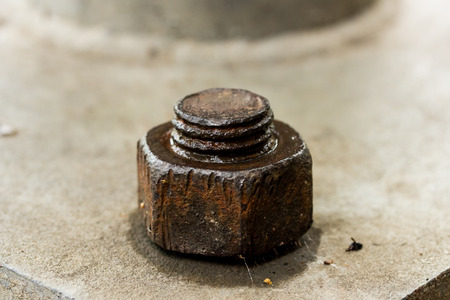 Nut on the cement floorの写真素材