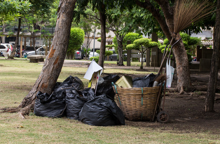 Green grass in black color garbage bag on lawnの写真素材