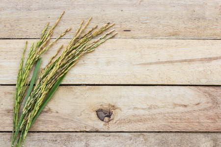 paddy pile on wood floorの写真素材