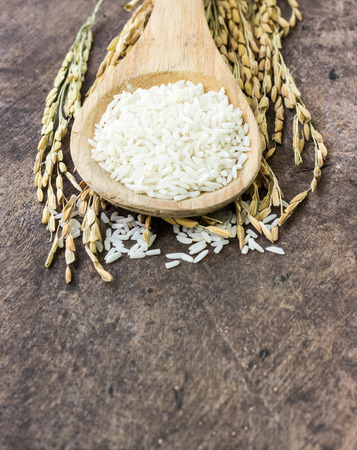 Wooden spoon with rice and paddy pile on wood floorの写真素材