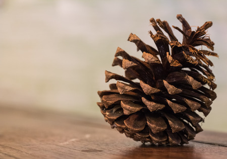 Pine cones on wooden backgroundの写真素材