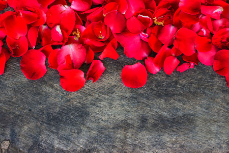 Rose Petals on a wooden backgroundの写真素材
