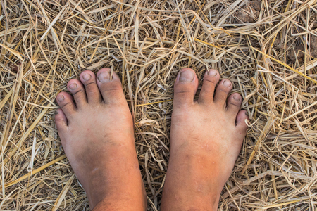 Barefoot on strawの写真素材