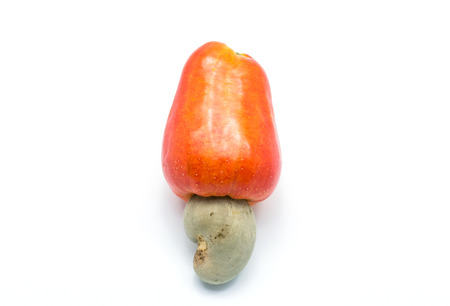 Tropical Cashew fruits on white background (Anacardium occidentale)の写真素材