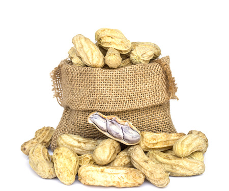 peanuts in burlap bag on white Background