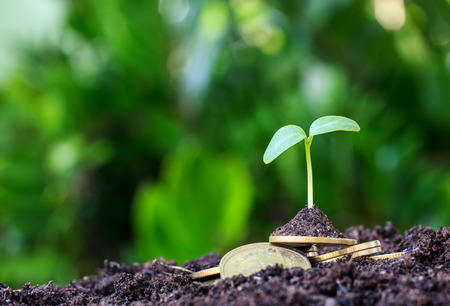 Stacked coins placed on the soil and seedling on top.の写真素材